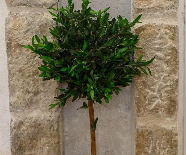 Apartman Stara Kala Varos Split